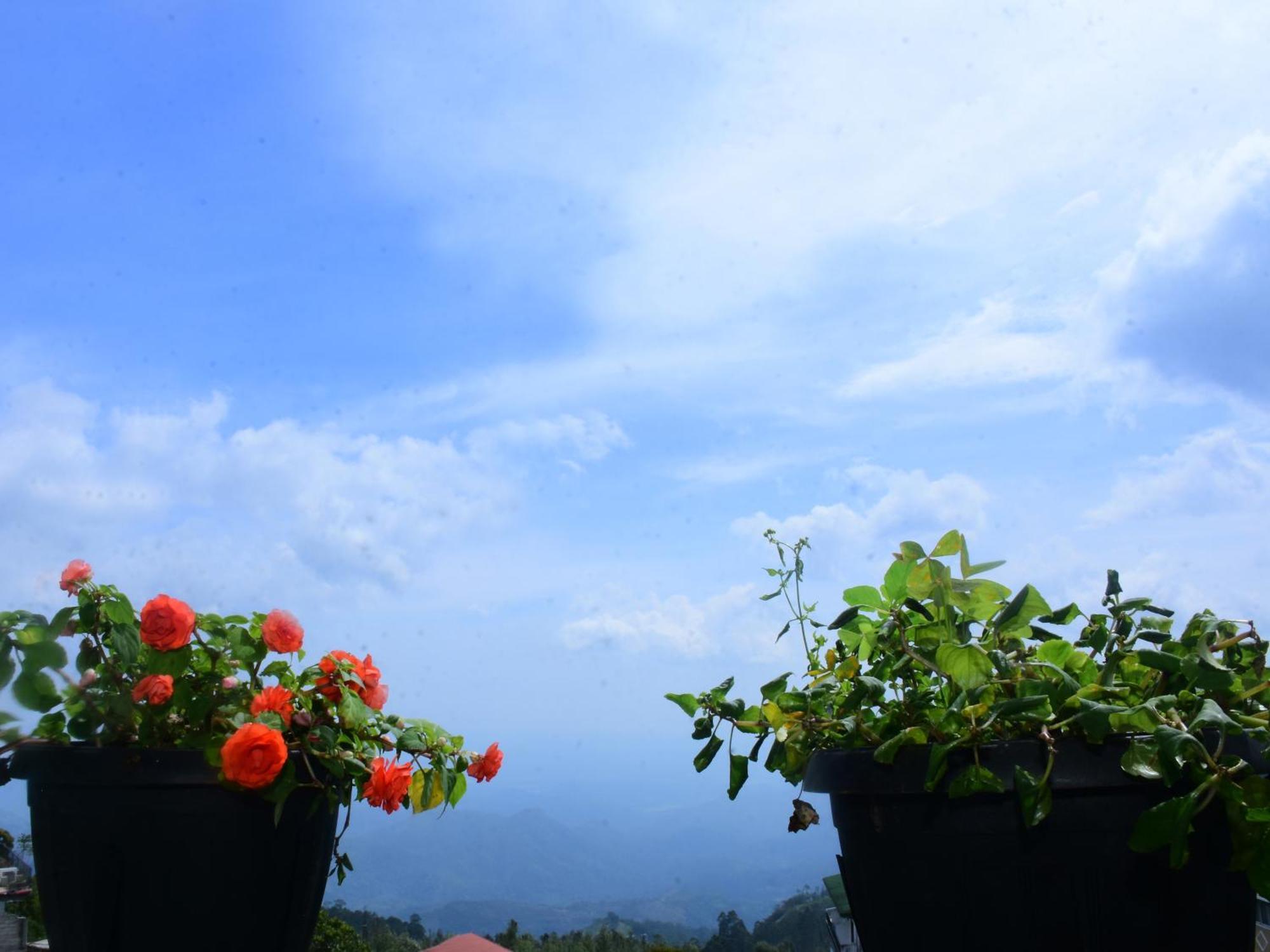 Grand View Guest House 哈普特莱 外观 照片